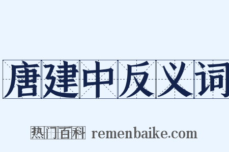 唐建中反义词是什么意思的图片